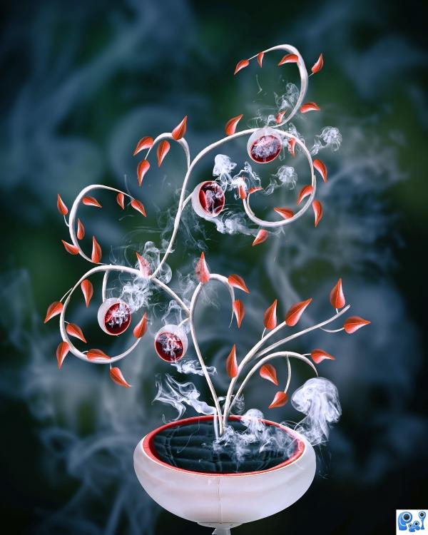 Magical Plant photoshop picture